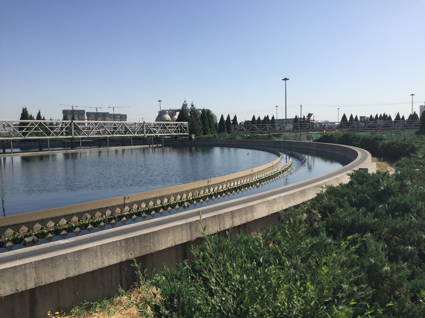 Wastewater lagoon in a Chinese wastewater treatment facility. <br><span class='small text-muted'>(China)</span>